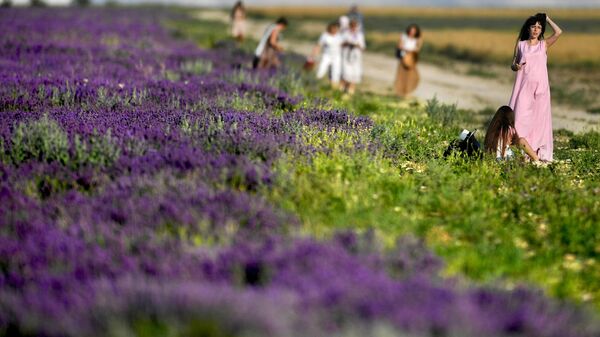 Люди гуляют у лавандового поля в Крыму