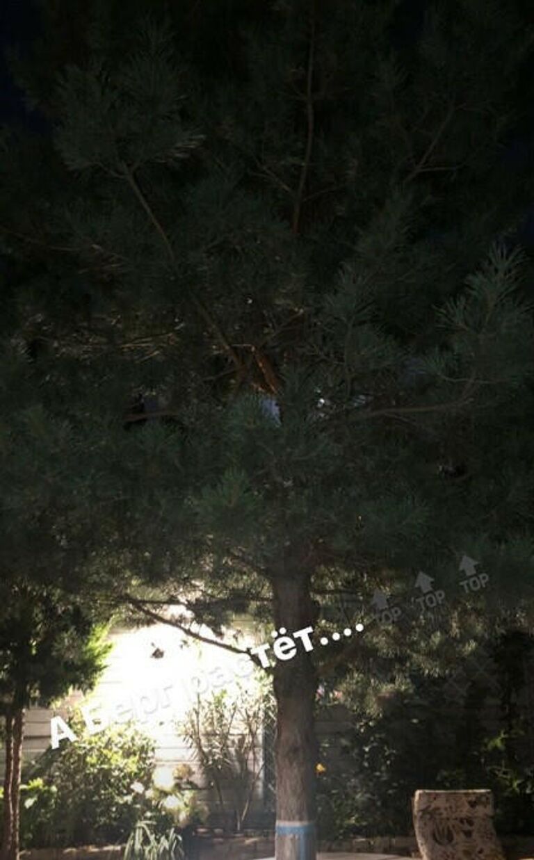 Stories в аккаунте Владимира Быстрова в Instagram.