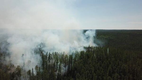 Сибирь и Дальний Восток  охвачены лесными пожарами