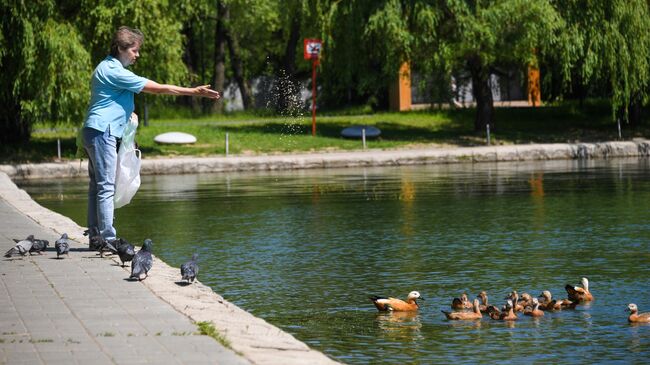 Благоустройство парка в Москве