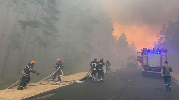 Лесной пожар в Луганской области