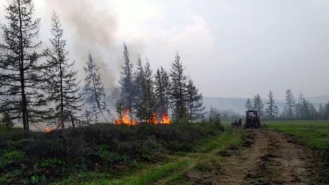 Лесной пожар в Якутии