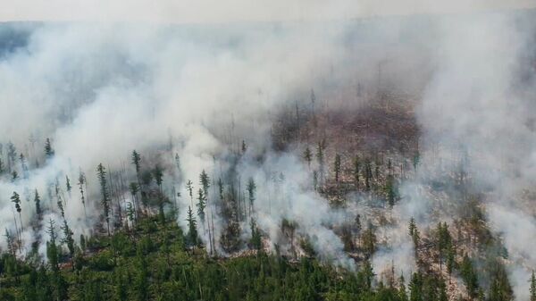 Лесные пожары в Иркутской области