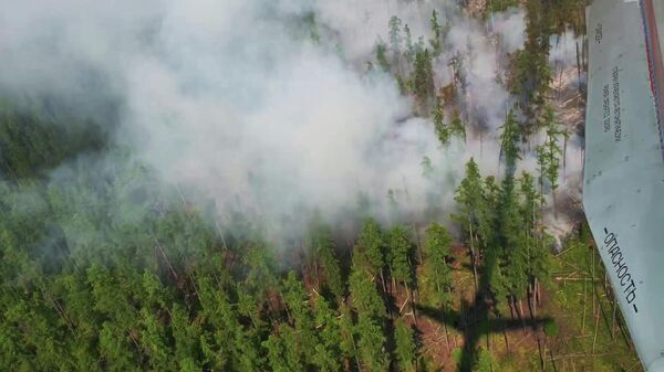 Самолёт-амфибия Бе-200ЧС МЧС РФ производит сброс воды на горящие участки леса во время тушения лесных пожаров в Иркутской области