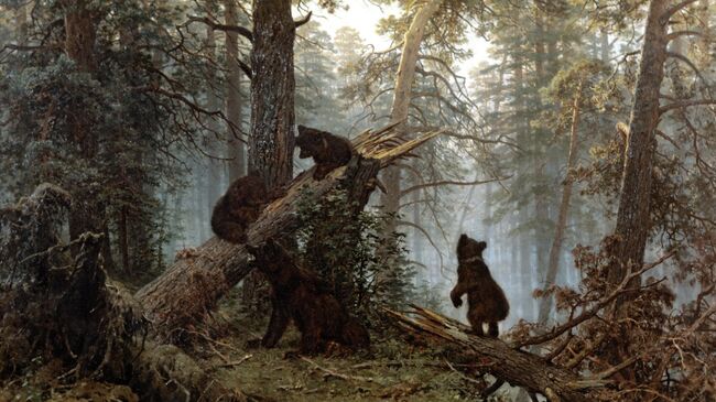 Репродукция картины Утро в сосновом лесу. Холст, масло, 1889 год Репродукция картины Утро в сосновом лесу. Холст, масло, 1889 год