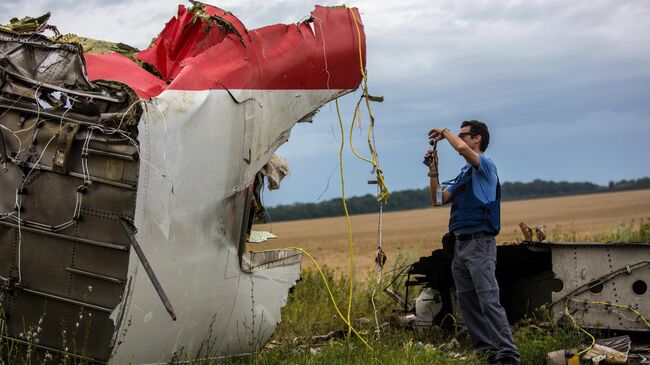 Эксперт миссии ОБСЕ на месте крушения лайнера Boeing 777 Малайзийских авиалиний в  Донецкой области