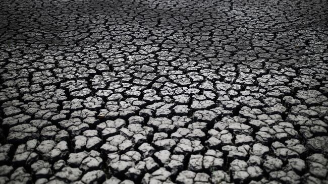 Пересохшая река в Краснодарском крае