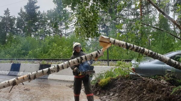 Сотрудник МЧС распиливает дерево, упавшее в районе 34-го км автодороги Р-257 Енисей в Красноярском крае