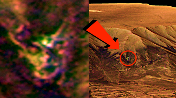 Изображение неизвестного существа на поверхности Марса