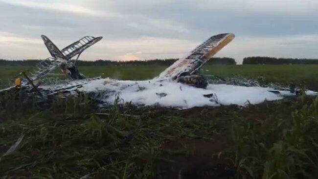 Кадры с места падения Ан-2 в Нижегородской области