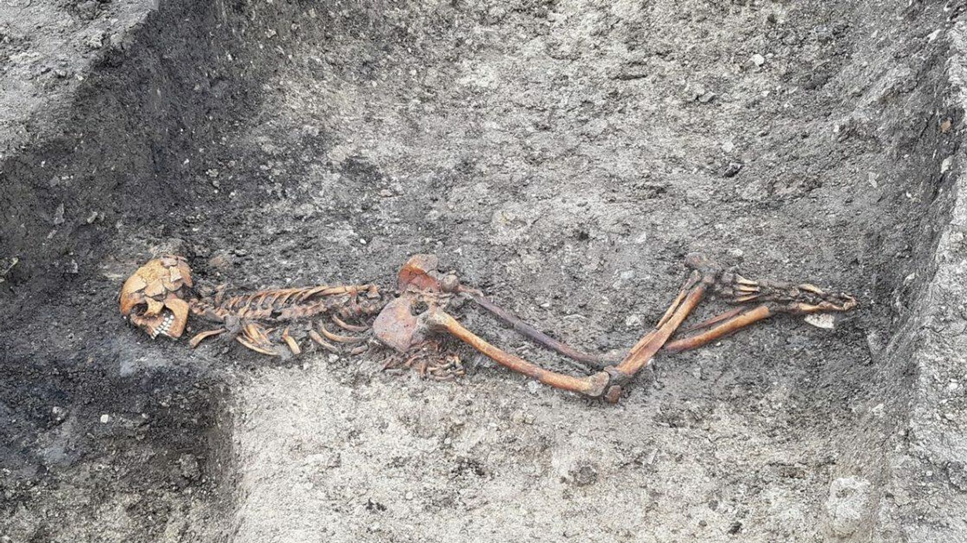 Останки человека, который жил около двух тысяч лет, найденные около фермы Уэллвик в Великобритании - РИА Новости, 1920, 16.07.2020