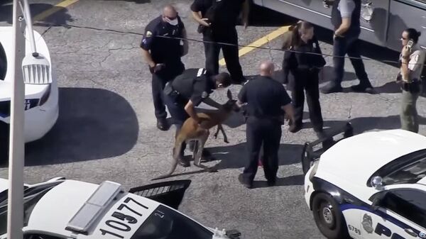 Скриншот видео. на котором полиция Форт-Лодердейла поймала кенгуру
