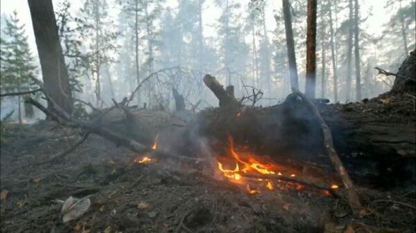 Взрывной метод тушения: В Якутии борются с лесными пожарами