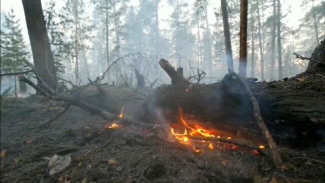 Взрывной метод тушения: В Якутии борются с лесными пожарами