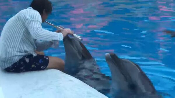 Стоп-кадр видео, где Максима Рубцов играет на флейте для дельфинов