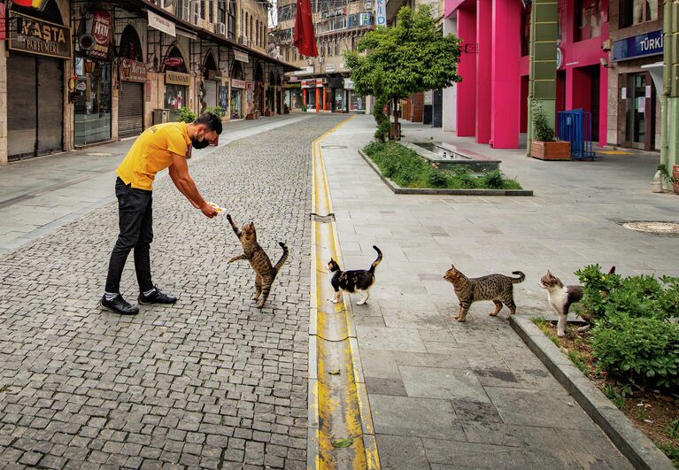 Mehmet Aslan. Работа участника конкурса Comedy Pet Photo Awards 2020