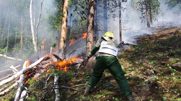Сотрудник ФБУ Авиалесоохрана во время тушения лесного пожара