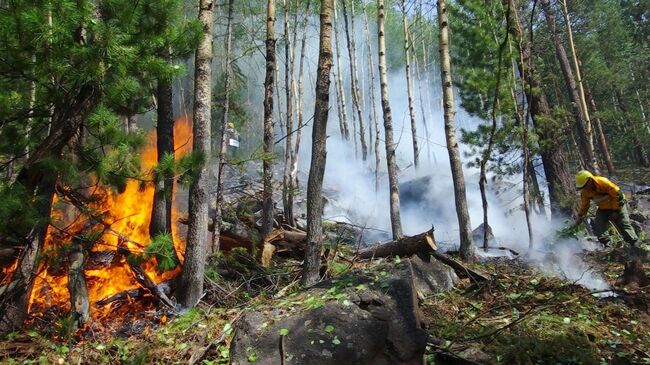 Тушение лесного пожара в Республике Бурятия