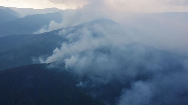 Лесные пожары на территории Забайкальского национального парка Заповедное подлеморье в Республике Бурятия. Стоп-кадр видео