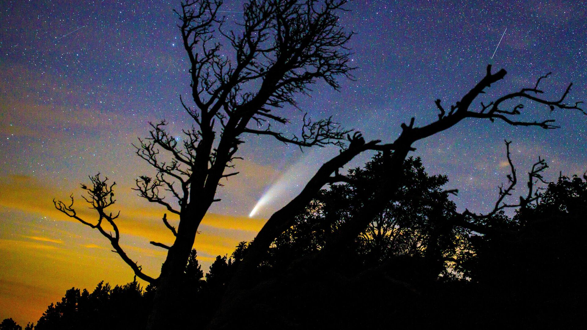 Комета NeoWise в небе над Краснодарским краем1