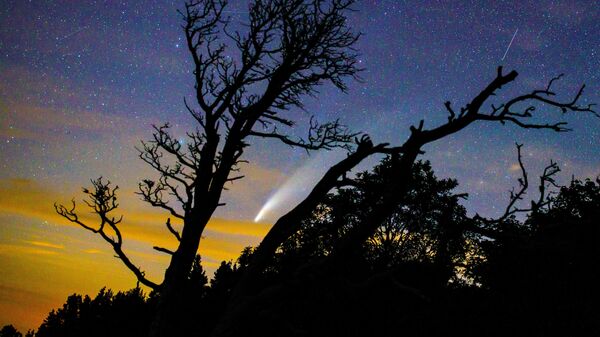 Комета NeoWise в небе над Краснодарским краем
