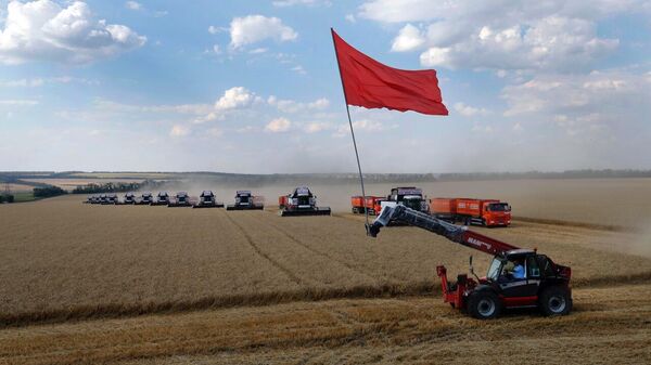 Парад комбайнов завершил жатву ранних зерновых в Ростовской области
