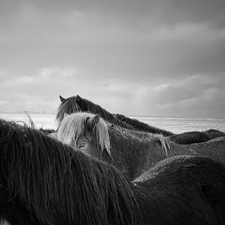 Xiaojun Zhang. Работа победителя конкурса iPhone Photography Awards 2020