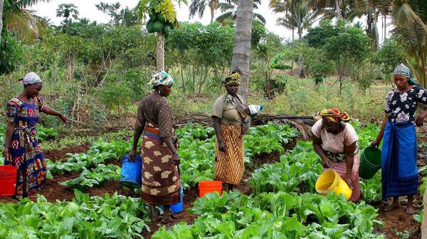 Женщины на ферме в Танзании