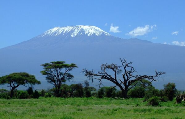 Вид на Килиманджаро в Танзании