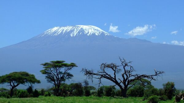 Вид на Килиманджаро в Танзании