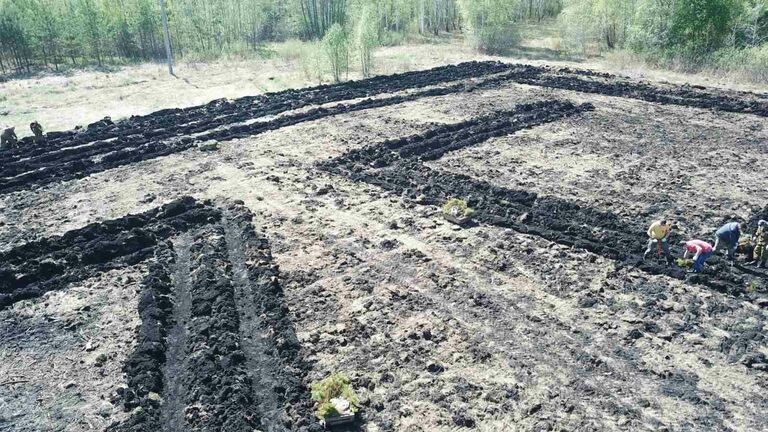 Гегоглиф в Тюменской области