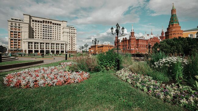 Цветник на Манежной площади