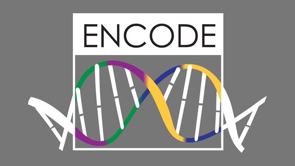Логотип проекта ENCODE