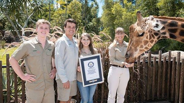 Самый высокий жираф по кличке Форест в зоопарке Австралии