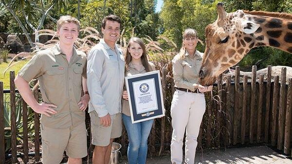 Самый высокий жираф по кличке Форест в зоопарке Австралии