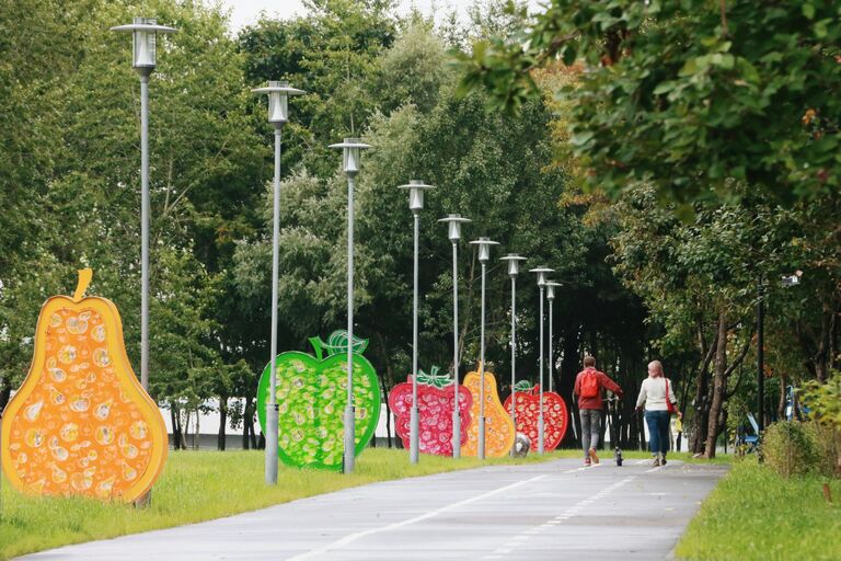 Аллея в парке Яблоневый сад в Бирюлево Западном