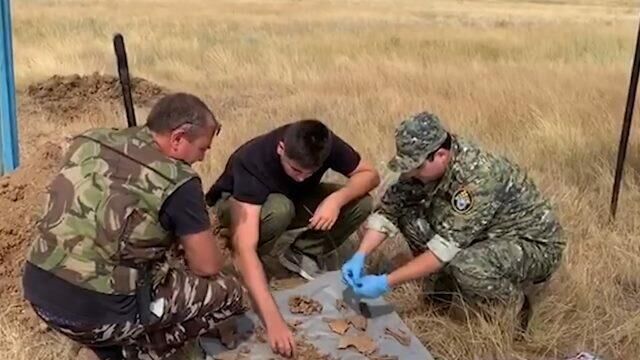 Извлечение останков жертв, зверски убитых фашистами под Сталинградом. Видео СК РФ - РИА Новости, 1920, 31.07.2020