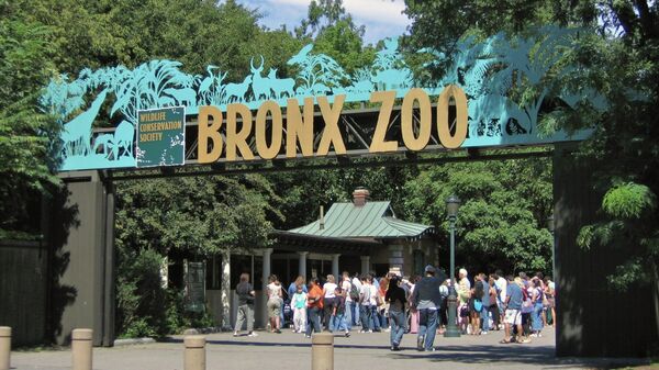 Входные ворота в зоопарк Бронкса