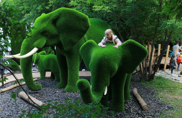 Загадочный парк в Крылатском с изящными фигурами из зеленых листочков и деревянными персонажами