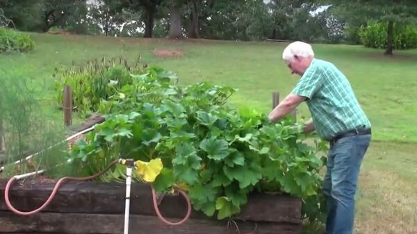 Скриншот видео про мужчину из Арканзаса, который сажает загадочные семена из Китая