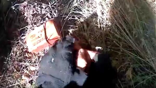 Скриншот видео служебной съемки обнаружения и обезвреживания противопехотных мин установленных ВСУ 
