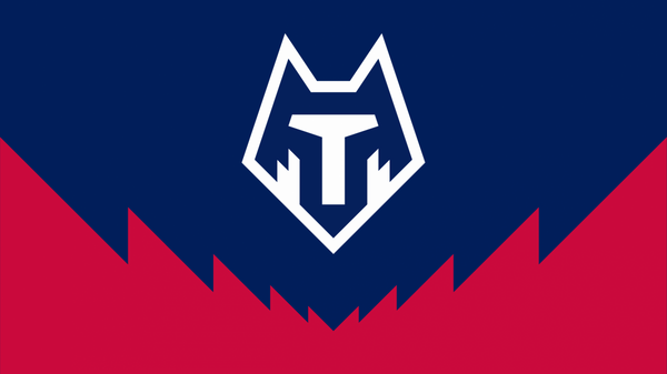 Новый логотип ФК Тамбов
