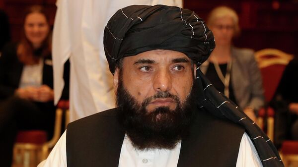Официальный представитель политического офиса движения Талибан Сухейль Шахин
