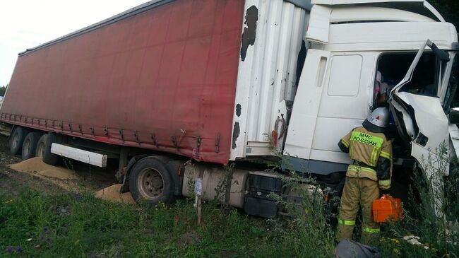 ДТП в Мишкинском районе Курганской области