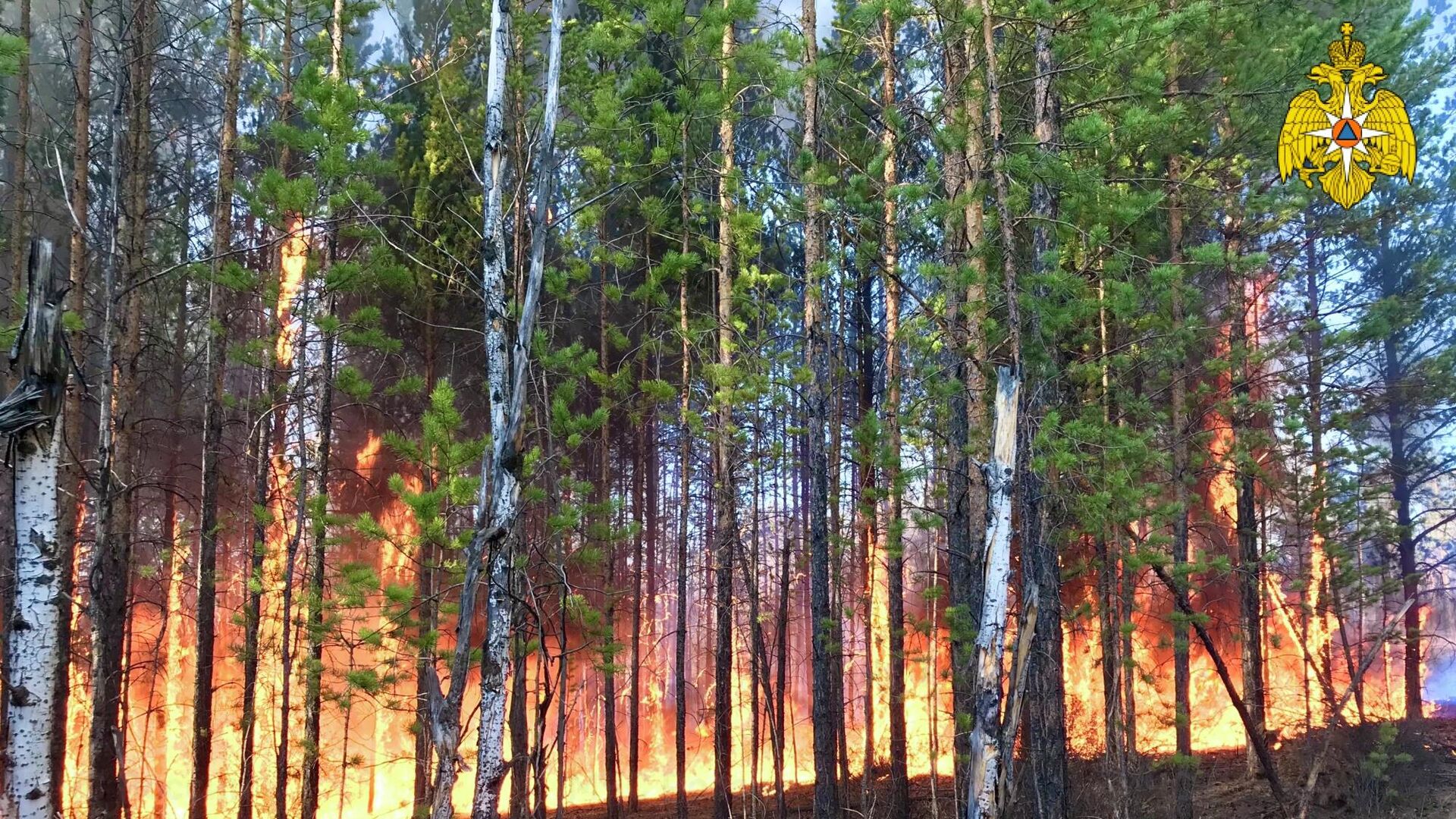 Лесные пожары на территории Якутии - РИА Новости, 1920, 07.10.2020