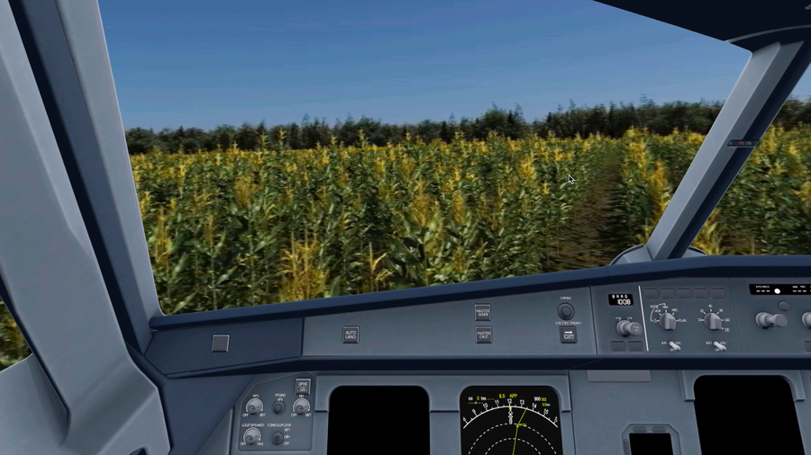 Кадр из проекта Чудо на кукурузном поле: VR-расследование год спустя