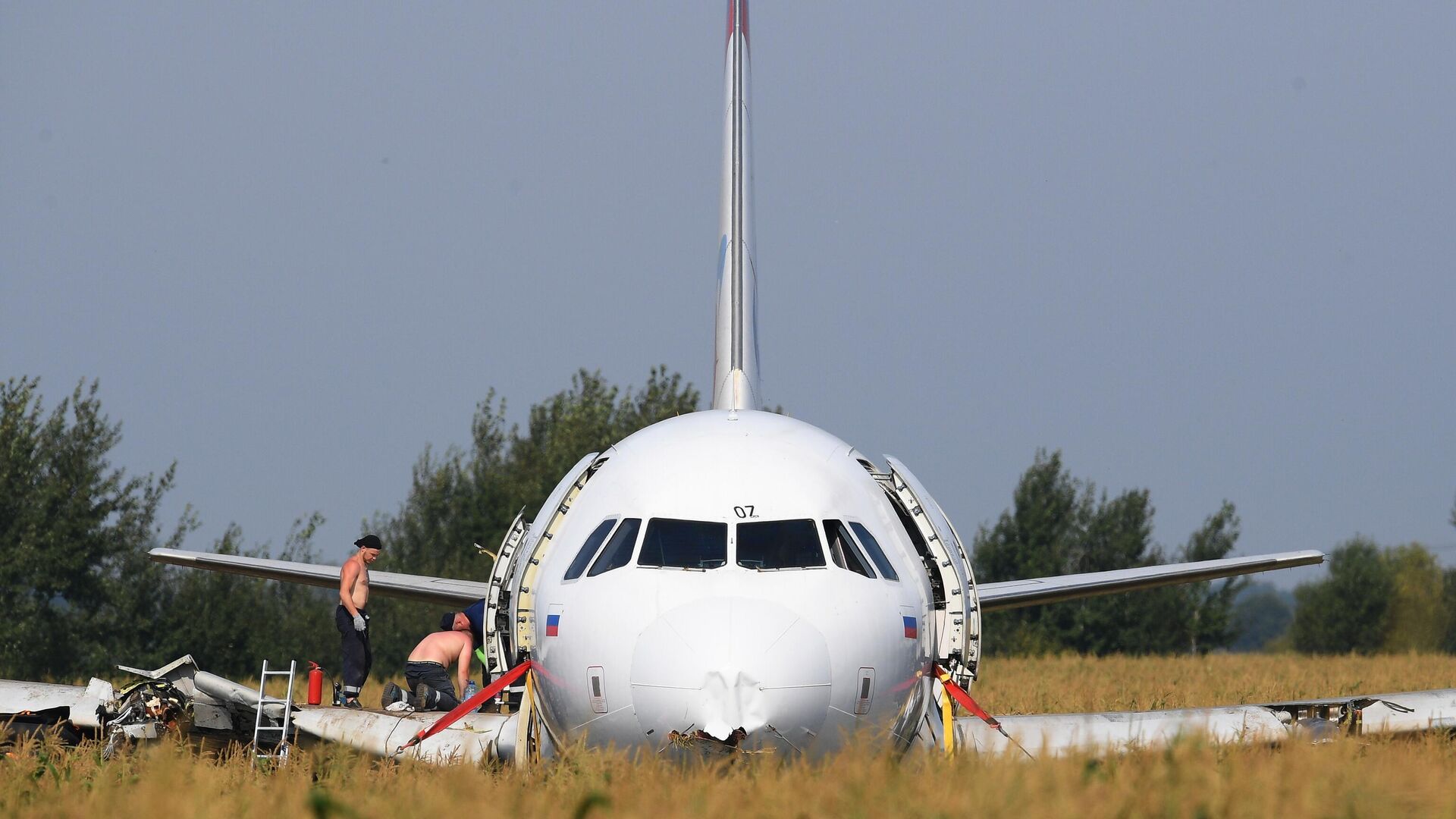 Самолет Airbus А321 авиакомпании Уральские авиалинии в кукурузном поле в районе деревни Рыбаки в Раменском районе Московской области - РИА Новости, 1920, 15.08.2024