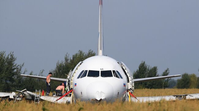 Самолет Airbus А321 авиакомпании Уральские авиалинии в кукурузном поле в районе деревни Рыбаки в Раменском районе Московской области