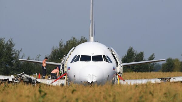 Самолет Airbus А321 авиакомпании Уральские авиалинии в кукурузном поле в районе деревни Рыбаки в Раменском районе Московской области