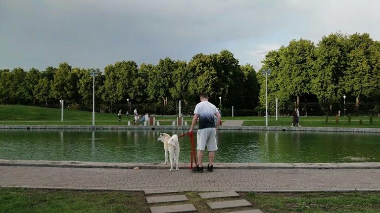 Пруд в парке 50-летия ВАЗа в Тольятти